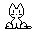 gato gato