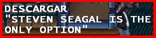 seagal.JPG