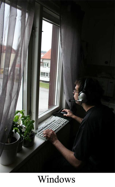 windows.jpg