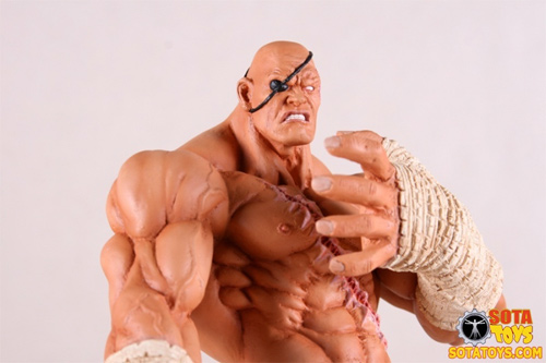 sagat