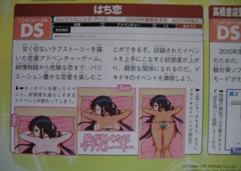 hachikoi