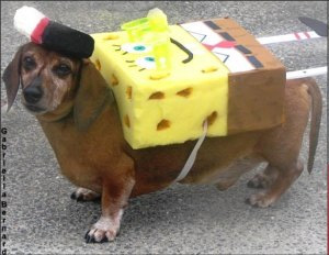 bobperruno bobperruno