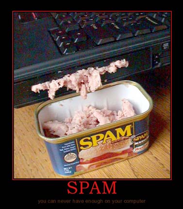spam spam