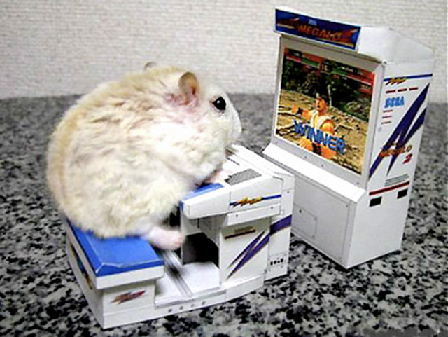 ratonvideojueguil