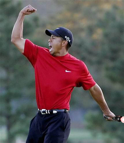 TigerWoods TigerWoods