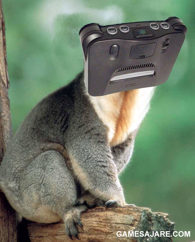 koala64