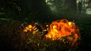 27794TheWitcher2_10_fight forrest 27794TheWitcher2_10_fight forrest