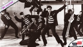 elvis elvis
