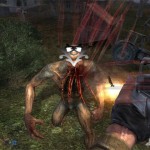 stalkerraro stalkerraro