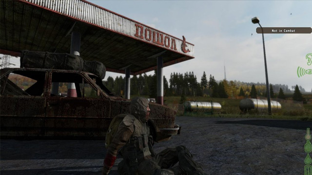 dayz2017