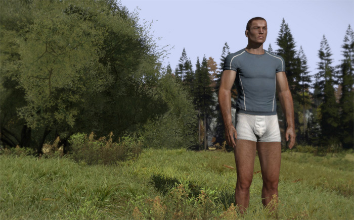 dayz2013