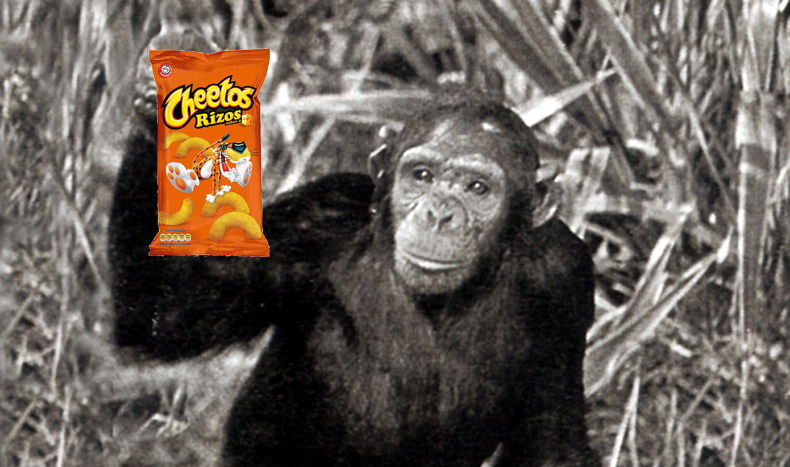 chitaycheetos