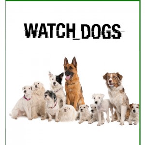 watchdogs