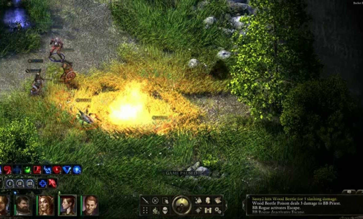 VEINTE MINUTITOS DE PILLARS OF ETERNITY