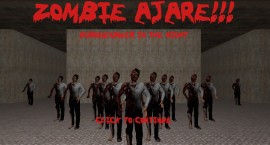 zajare zajare