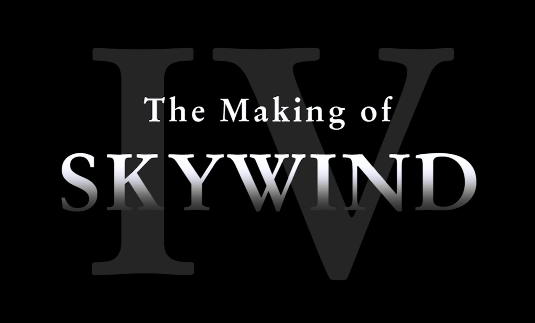 SKYWIND ES UN PRODUCTO MUY PROFESIONAL